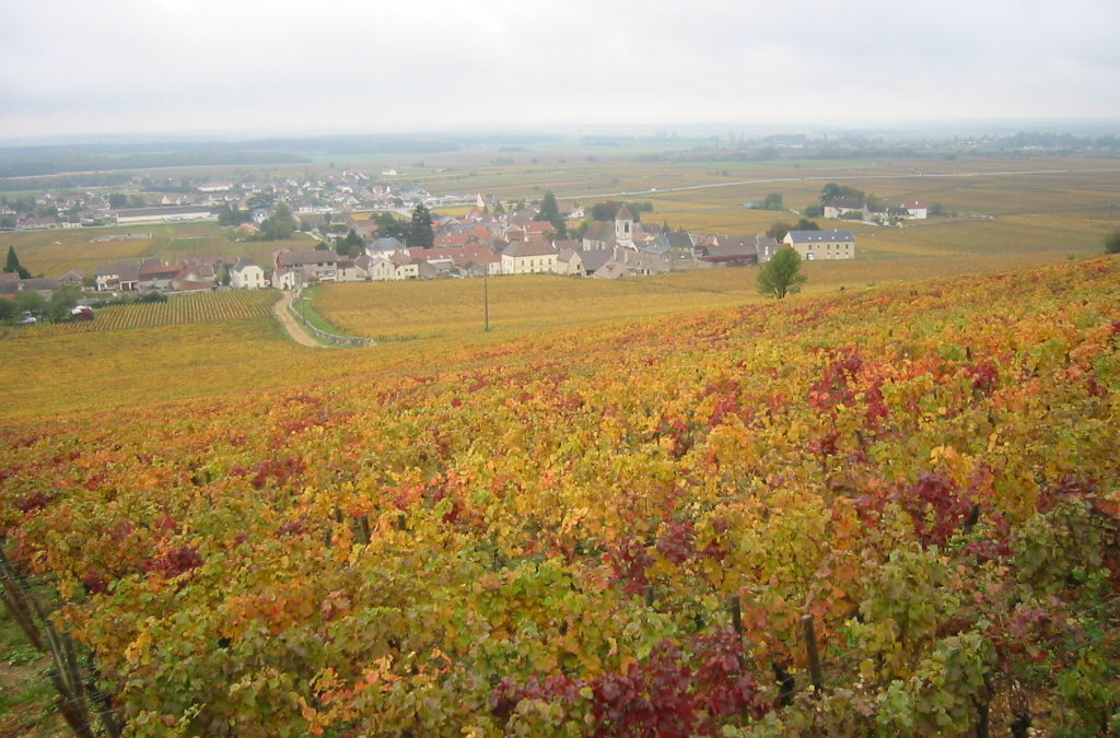 La route des vins de Dijon à Beaune