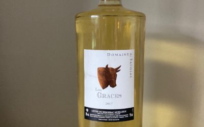 Une idée de cadeau : un très beau magnum de Côtes de Bergerac moelleux 2017